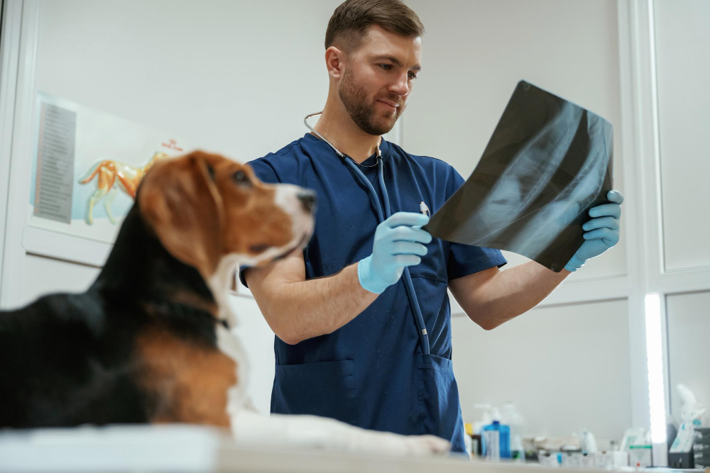De oruga a mariposa: el viaje de los emprendedores veterinarios junto a Arguser 1 122677