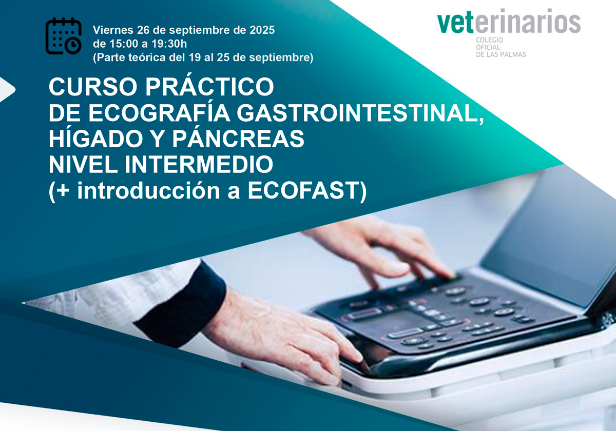 Cartel-Ecografía-GastroHigPan-Intermedio+Ecofast25_Carol