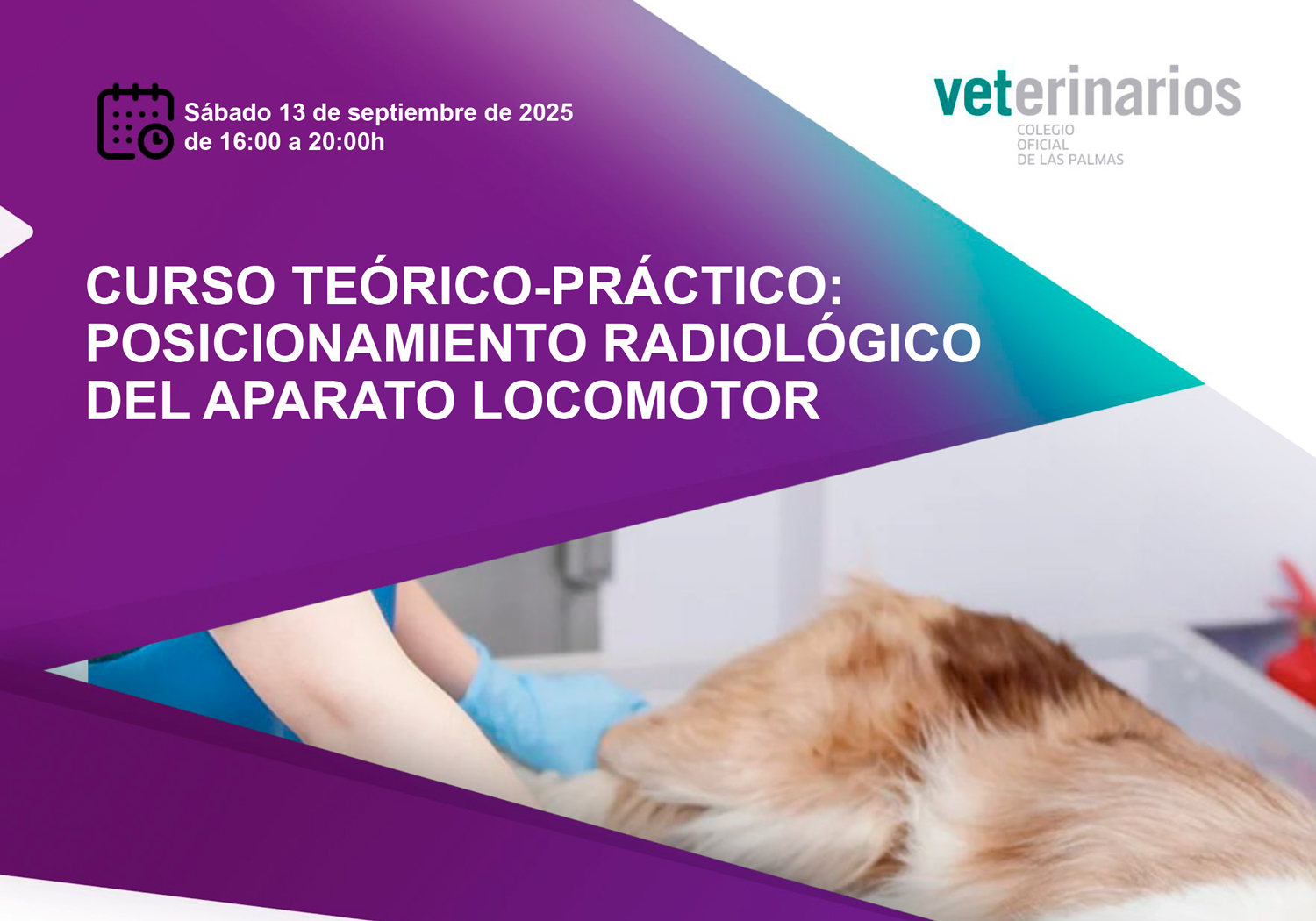 Cartel-POSICIONAMIENTO-RADIOLÓGICO
