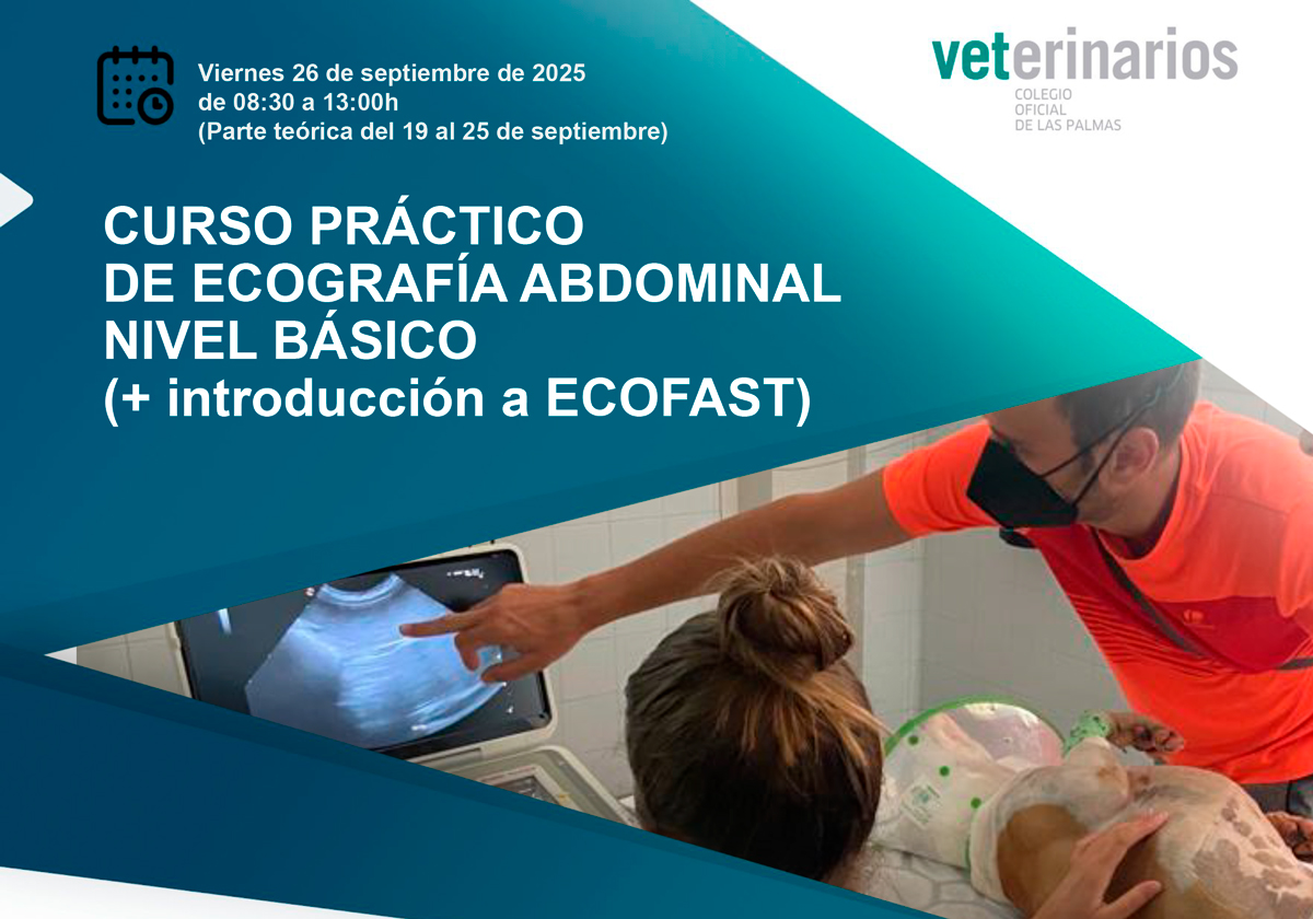Cartel_Ecografía-Abdominal-Basico+Ecofast25_Carol-1